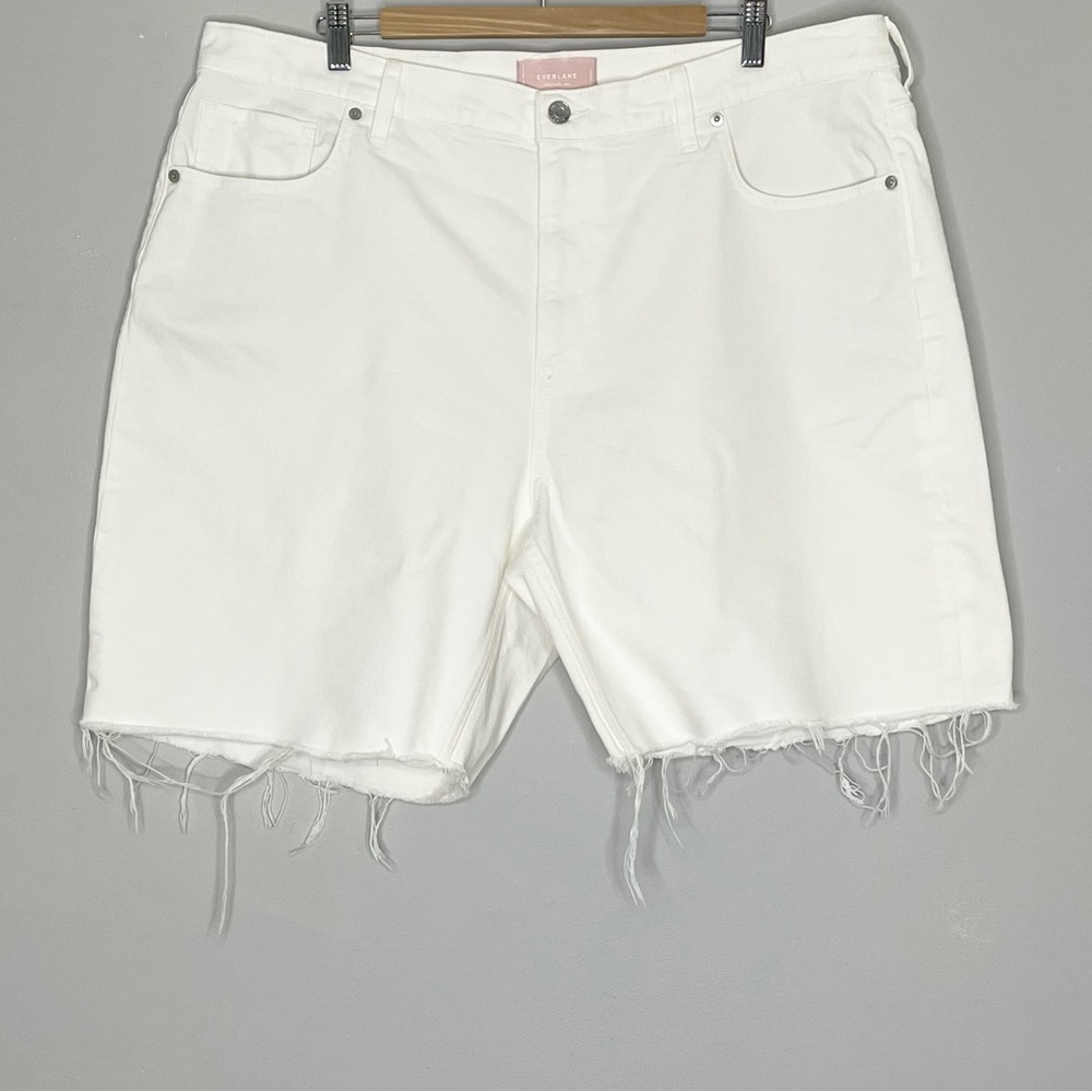 Everlane The Cheeky Jean Cut Off Denim Shorts
